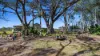 1192 Mulligan Highway, Biboohra, Qld 4880-Image