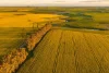 120 Millers Road, Skipton, Vic 3361-Image