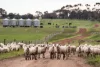 120 Millers Road, Skipton, Vic 3361-Image