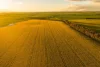 120 Millers Road, Skipton, Vic 3361-Image