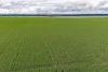 120 Millers Road, Skipton, Vic 3361-Image