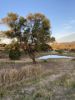 120 Norries Road, Bunyah NSW 2429-Image