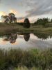 120 Norries Road, Bunyah NSW 2429-Image