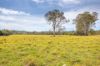 120 Norries Road, Bunyah NSW 2429-Image