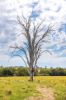 120 Norries Road, Bunyah NSW 2429-Image