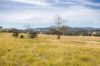 120 Norries Road, Bunyah NSW 2429-Image