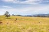 120 Norries Road, Bunyah NSW 2429-Image