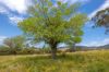 120 Norries Road, Bunyah NSW 2429-Image