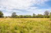 120 Norries Road, Bunyah NSW 2429-Image