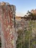 120 Norries Road, Bunyah NSW 2429-Image