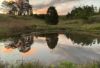 120 Norries Road, Bunyah NSW 2429-Image