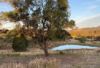 120 Norries Road, Bunyah NSW 2429-Image