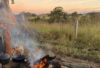 120 Norries Road, Bunyah NSW 2429-Image