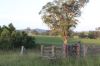 120 Norries Road, Bunyah NSW 2429-Image