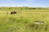 122 Goschnicks Road, Redgate, Qld 4605-Image