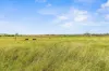 122 Goschnicks Road, Redgate, Qld 4605-Image