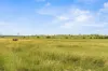 122 Goschnicks Road, Redgate, Qld 4605-Image