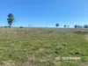 1223 Karoola Road, GRAMAN, Inverell, NSW 2360-Image