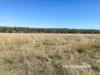 1223 Karoola Road, GRAMAN, Inverell, NSW 2360-Image