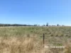 1223 Karoola Road, GRAMAN, Inverell, NSW 2360-Image