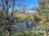 1223 Karoola Road, GRAMAN, Inverell, NSW 2360-Image