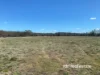 1223 Karoola Road, GRAMAN, Inverell, NSW 2360-Image