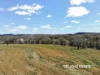 1223 Karoola Road, GRAMAN, Inverell, NSW 2360-Image