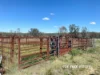 1223 Karoola Road, GRAMAN, Inverell, NSW 2360-Image