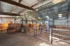 1223 Springs Road, Menzies, SA 5223-Image