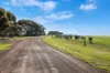 1223 Springs Road, Menzies, SA 5223-Image