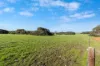 1223 Springs Road, Menzies, SA 5223-Image