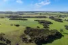 1223 Springs Road, Menzies, SA 5223-Image