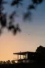 1229 Cooroy Belli Creek Road, Ridgewood, Qld 4563-Image