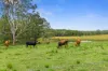 1235 Old Bruce Highway, Kybong, Qld 4570-Image