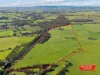1240 Westernport Road, Heath Hill, Vic 3981-Image