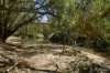 125 Burnells Road, Upotipotpon, Vic 3669-Image