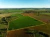 126 Coursing Park Road, Downside NSW 2650-Image