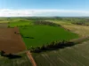 126 Coursing Park Road, Downside NSW 2650-Image