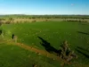 126 Coursing Park Road, Downside NSW 2650-Image