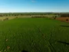 126 Coursing Park Road, Downside NSW 2650-Image