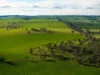 126 Coursing Park Road, Downside NSW 2650-Image