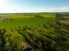 126 Coursing Park Road, Downside NSW 2650-Image