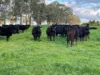 126 Lewis Road, Tatong, Vic 3673-Image