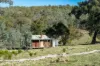 126 Lewis Road, Tatong, Vic 3673-Image