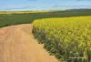 127 Mailey Road, West Ballidu, WA 6606