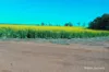 127 Mailey Road, West Ballidu, WA 6606-Image