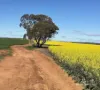 127 Mailey Road, West Ballidu, WA 6606-Image