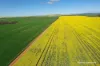 127 Mailey Road, West Ballidu, WA 6606-Image