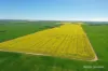 127 Mailey Road, West Ballidu, WA 6606-Image
