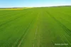 127 Mailey Road, West Ballidu, WA 6606-Image